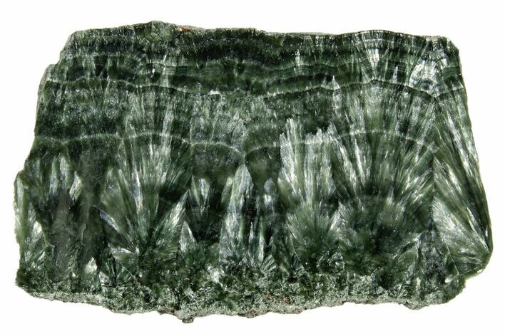Polished Seraphinite Slab - Korshunovkiy Mine, Siberia #317748